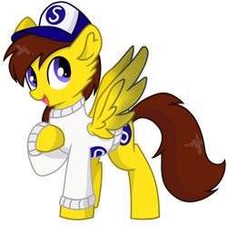 Size: 800x800 | Tagged: safe, artist:rainbow eevee, oc, oc:ponyseb, pegasus, pony, 2020 community collab, clothes, cute, cutie mark, daaaaaaaaaaaw, derpibooru community collaboration, hat, male, open mouth, pegasus oc, simple background, snapback, solo, spread wings, sweater, transparent background, vector, wings