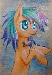 Size: 2480x3564 | Tagged: safe, artist:0okami-0ni, oc, oc only, bowtie, solo, traditional art, underwater