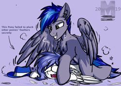 Size: 2200x1565 | Tagged: safe, artist:movieskywalker, oc, oc only, oc:open skies, oc:shinesky, pegasus, pony, cowboy hat, crying, female, hat, male, rule 63, simple background, smiley face, wings