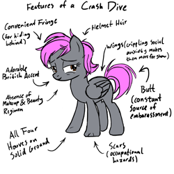 Size: 1000x1000 | Tagged: safe, artist:pablote, oc, oc only, oc:crash dive, pegasus, pony, anatomy guide, butt, female, folded wings, lidded eyes, looking at you, mare, messy mane, plot, simple background, solo, white background, wings