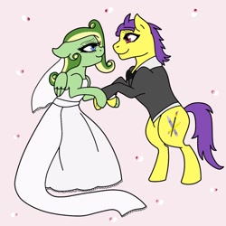 Size: 894x894 | Tagged: safe, artist:didgereethebrony, oc, oc:boomerang beauty, oc:doodley, earth pony, pegasus, pony, base used, clothes, cutie mark, dancing, doomerang, dress, eye contact, flower petals, looking at each other, missing accessory, oc x oc, shipping, suit, trace, tuxedo, wedding dress, wedding veil