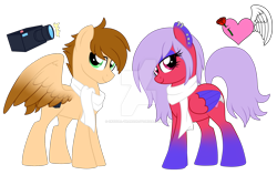 Size: 1600x1012 | Tagged: safe, artist:crystal-tranquility, oc, oc only, oc:nimbus heart, oc:quick focus, pegasus, pony, clothes, deviantart watermark, female, male, mare, obtrusive watermark, scarf, simple background, stallion, transparent background, watermark