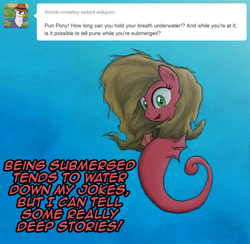 Size: 821x800 | Tagged: safe, artist:hewison, oc, oc:pun, sea pony, ask, ask pun, pun, seaponified, solo, species swap