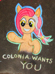 Size: 2842x3790 | Tagged: safe, artist:malte279, oc, oc:colonia, earth pony, pony, braid, chalk drawing, i want you, mascot, traditional art