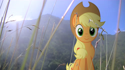 Size: 1920x1080 | Tagged: safe, artist:bastbrushie, artist:cryocubed, applejack, earth pony, pony, cute, field, irl, jackabetes, lens flare, looking at you, mountain, photo, ponies in real life, solo, vector