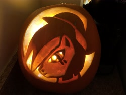 Size: 4032x3024 | Tagged: safe, artist:faline-art, oc, oc only, oc:nighttide star, pony, halloween, photo, pumpkin, pumpkin carving, solo