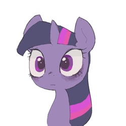 Size: 800x800 | Tagged: safe, artist:um89s, twilight sparkle, pony, bags under eyes, bust, cute, female, mare, portrait, simple background, solo, twiabetes, white background