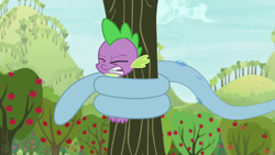 Size: 1920x1080 | Tagged: safe, screencap, spike, dragon, between dark and dawn, apple, apple tree, mr. tortoisnap, tongue out, tree, winged spike