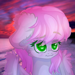 Size: 2000x2000 | Tagged: safe, artist:kindny-chan, pegasus, pony, bust, female, mare, portrait, solo