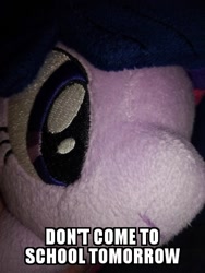 Size: 390x520 | Tagged: safe, editor:apex soundwave, photographer:apex soundwave, twilight sparkle, pony, 4de, caption, image macro, meme, plushie, solo, text