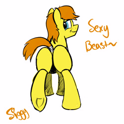 Size: 3750x3750 | Tagged: safe, artist:siggyderp, oc, oc only, oc:siggy, earth pony, pony, butt, looking at you, looking back, looking back at you, male, plot, raised hoof, raised tail, signature, simple background, solo, stallion, tail, tail wrap, text, underhoof, white background