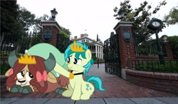 Size: 6872x4000 | Tagged: safe, artist:aleximusprime, artist:disneymarvel96, edit, sandbar, yona, pony, comforting, crown, disney, disneyland, evil queen, female, haunted mansion, irl, jewelry, male, necklace, photo, ponies in real life, regalia, scared, shell, shipping, straight, the haunted mansion, ursula, vector, vector edit, yonabar