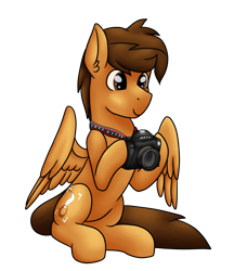 Size: 4230x4644 | Tagged: safe, artist:sevenserenity, oc, oc only, oc:toanderic, pegasus, pony, 2020 community collab, camera, derpibooru community collaboration, male, simple background, sitting, solo, stallion, transparent background