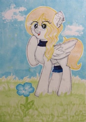 Size: 1517x2160 | Tagged: safe, artist:ksupav, oc, pegasus, pony, cloud, collar, ear piercing, earring, flower, grass, jewelry, marker drawing, piercing, rcf community, sky, solo, traditional art