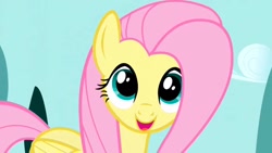 Size: 1280x720 | Tagged: safe, screencap, fluttershy, pegasus, pony, the ticket master, beautiful, cute, female, mare, shyabetes, solo