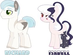 Size: 4196x3211 | Tagged: safe, artist:rerorir, oc, oc only, oc:isabell, oc:richard (rerorir), earth pony, pegasus, pony, female, male, mare, simple background, stallion, transparent background