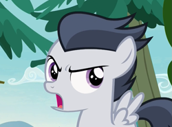 Size: 875x649 | Tagged: safe, screencap, rumble, pegasus, pony, marks and recreation, angry, colt, cropped, looking at you, male, solo