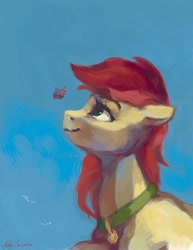 Size: 1540x1993 | Tagged: safe, artist:malinetourmaline, roseluck, butterfly, earth pony, pony, bust, collar, cute, pet tag, pony pet, portrait, rosepet, solo