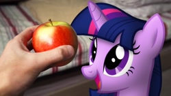 Size: 1280x720 | Tagged: safe, artist:stormxf3, twilight sparkle, pony, apple, blanket, food, irl, photo, ponies in real life, smiling