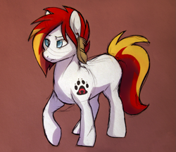 Size: 1379x1191 | Tagged: safe, artist:dawnfire, oc, earth pony, pony, paw prints, solo