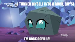 Size: 1009x569 | Tagged: safe, edit, edited screencap, editor:countcoltnackh, screencap, ocellus, changeling, uprooted, caption, discovery family logo, exploitable meme, image macro, impact font, meme, pickle rick, rick and morty, rock, rockellus, shitposting, text