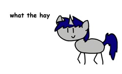 Size: 1024x618 | Tagged: safe, artist:dialliyon, oc, unicorn, simple background, stick pony, what the hay?, white background