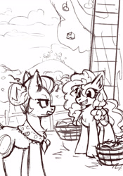 Size: 2067x2953 | Tagged: safe, artist:amy-gamy, granny smith, pear butter, earth pony, pony, apple, apple tree, barrel, chest fluff, duo, duo female, female, fence, ladder, mare, monochrome, mother and daughter-in-law, sketch, tree