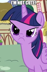 Size: 500x766 | Tagged: safe, edit, edited screencap, screencap, twilight sparkle, twilight sparkle (alicorn), alicorn, pony, pinkie pride, blatant lies, caption, cropped, cute, denial, female, frown, i'm not cute, image macro, inverted mouth, mare, solo, text, twiabetes