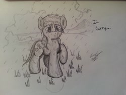 Size: 3264x2448 | Tagged: safe, artist:lucas_gaxiola, oc, oc only, oc:charmed clover, earth pony, pony, crying, earth pony oc, frown, male, rain, raised hoof, solo, speech, stallion, traditional art