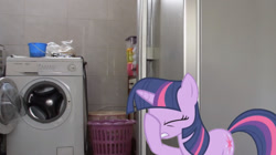 Size: 1276x717 | Tagged: safe, twilight sparkle, pony, unicorn, eyes closed, facehoof, female, food for twilight, irl, mare, photo, ponies in real life, solo, washing machine