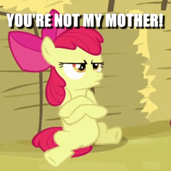 Size: 498x496 | Tagged: safe, edit, edited screencap, screencap, apple bloom, apple family reunion, caption, cropped, grumpy, hay bale, image macro, implied applejack, solo, text