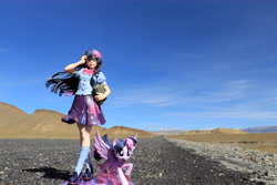 Size: 6000x4000 | Tagged: safe, twilight sparkle, twilight sparkle (alicorn), alicorn, human, pony, book, china, humanized, irl, kotobukiya, kotobukiya twilight sparkle, photo