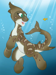 Size: 3024x4032 | Tagged: safe, artist:wispy tuft, oc, oc:sushi roll, fish, original species, pony, shark, shark pony, bubble, cute, goldfish, leopard shark, quadrupedal, shark teeth, sharp teeth, strange waifus, teeth