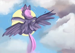 Size: 4096x2897 | Tagged: safe, artist:toisanemoif, oc, oc only, pegasus, pony, cloud, hug, sky, sun