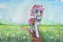Size: 3000x2000 | Tagged: safe, artist:0okami-0ni, oc, oc only, basket, flower, path, picnic basket, scenery, solo, traditional art