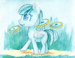 Size: 2000x1559 | Tagged: safe, artist:0okami-0ni, female, filly, flower, helid, huevember, solo, sunflower, traditional art