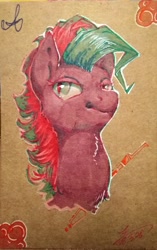 Size: 2466x3920 | Tagged: safe, artist:angusdra, oc, oc only, oc:aer swift, pegasus, pony, bust, slit eyes, solo, traditional art