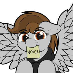 Size: 2160x2160 | Tagged: safe, artist:ljdamz1119, oc, oc only, oc:penny page, pegasus, pony, clothes, female, floppy ears, hoodie, looking at you, mare, mouth hold, noice, note, simple background, smiling, solo, spread wings, transparent background, wings