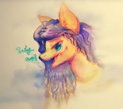 Size: 1024x910 | Tagged: safe, artist:angusdra, oc, oc only, pony, bust, solo, traditional art, watercolor painting