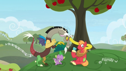 Size: 1920x1080 | Tagged: safe, screencap, big macintosh, discord, dragon, earth pony, pony, the big mac question, apple, apple tree, discovery family logo, male, ring box, stallion, sweet apple acres, tree