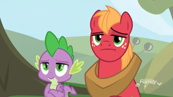 Size: 1920x1080 | Tagged: safe, screencap, big macintosh, spike, dragon, earth pony, pony, the big mac question, big macintosh is not amused, crossed arms, discovery family logo, duo, furrowed brow, male, raised eyebrow, spike is not amused, stallion, unamused, unimpressed, winged spike