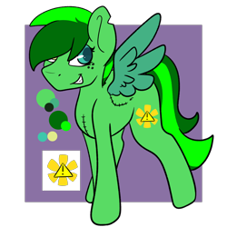 Size: 894x894 | Tagged: safe, artist:melonzy, oc, oc:shining emerald, pegasus, pony, reference sheet, simple background, smiling, smirk, stiches, transparent background, wings