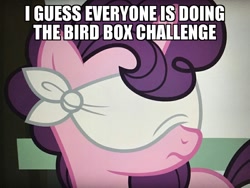 Size: 800x600 | Tagged: safe, edit, edited screencap, screencap, sugar belle, unicorn, the big mac question, bird box challenge, blindfold, cropped, female, meme, solo, text