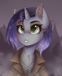 Size: 1200x1465 | Tagged: safe, artist:falafeljake, oc, oc only, pony, unicorn, clothes, jacket, jewelry, necklace, solo