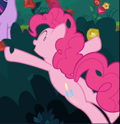 Size: 488x504 | Tagged: safe, screencap, pinkie pie, earth pony, pony, the mean 6, balloonbutt, bush, butt, cropped, eyes closed, female, flower, lying down, mare, offscreen character, open mouth, plot, rose, smiling, solo focus