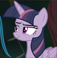 Size: 915x940 | Tagged: safe, screencap, mean twilight sparkle, pony, the mean 6, cropped, narrowed eyes, smiling, smirk, solo