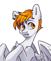 Size: 2500x3000 | Tagged: safe, artist:chibadeer, oc, pegasus, pony, bust, male, portrait, simple background, solo, stallion, white background