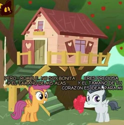 Size: 534x539 | Tagged: safe, rumble, scootaloo, apple, apple tree, caption, clubhouse, crusaders clubhouse, female, male, rumbloo, shipping, spanish, straight, text, tree