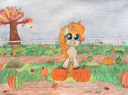 Size: 1036x771 | Tagged: safe, artist:mopar96, pumpkin cake, pony, unicorn, autumn, blue eyes, dirt, female, fence, grass, leaves, october, plant, pumpkin, pumpkin patch, sky, smiling, solo, standing, tree