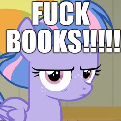 Size: 1078x1078 | Tagged: safe, edit, edited screencap, screencap, wind sprint, pegasus, pony, common ground, angry, book, caption, cropped, excessive exclamation marks, image macro, solo, text, vulgar, wind sprint is not amused